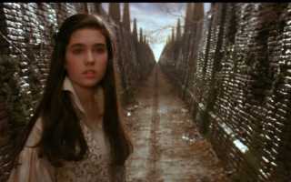 Дженнифер Коннелли (Jennifer Connelly) биография, фото, личная жизнь и ее муж 2021